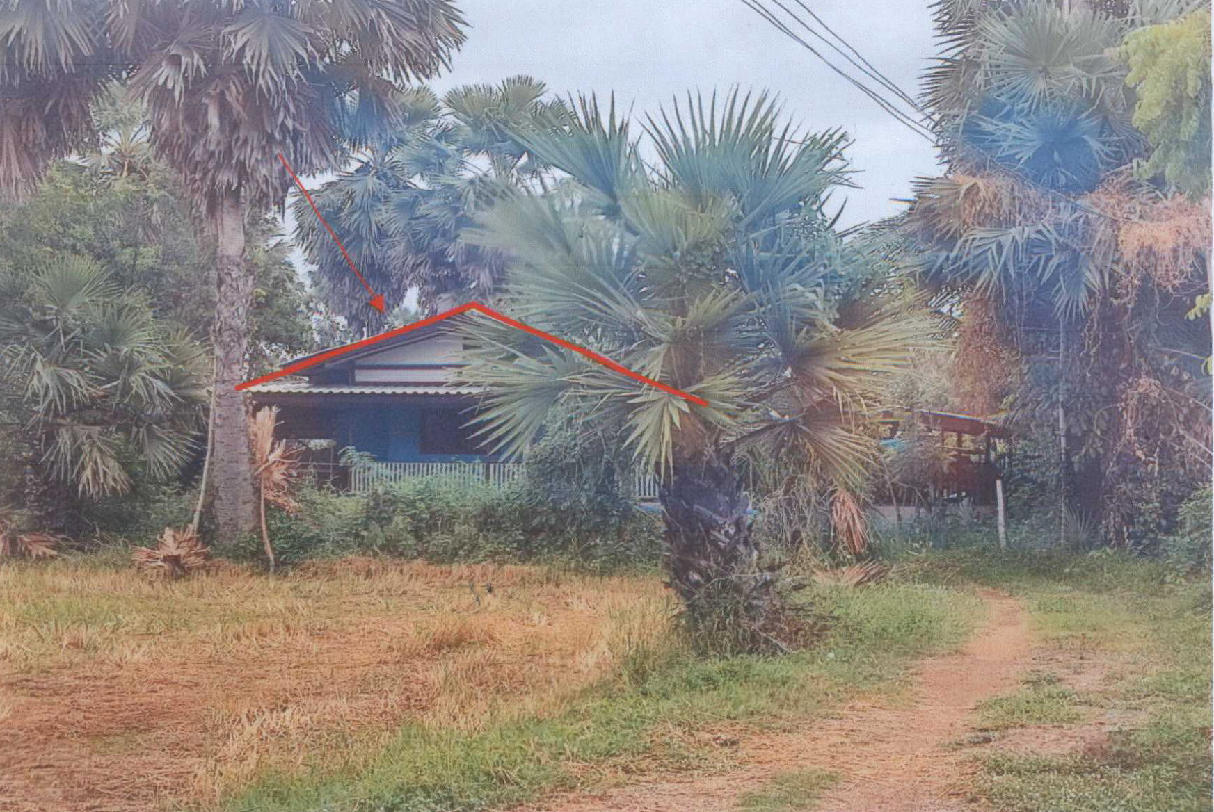 รูปที่ดินพร้อมสิ่งปลูกสร้าง ดอนยาง เมืองเพชรบุรี เพชรบุรี