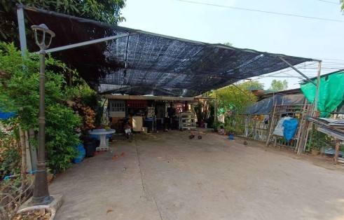 รูปที่ดินพร้อมสิ่งปลูกสร้าง พันชาลี วังทอง พิษณุโลก