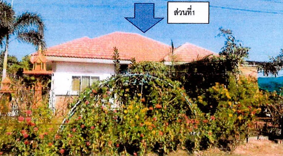 รูปที่ดินพร้อมสิ่งปลูกสร้าง บ้านชบ สังขะ สุรินทร์