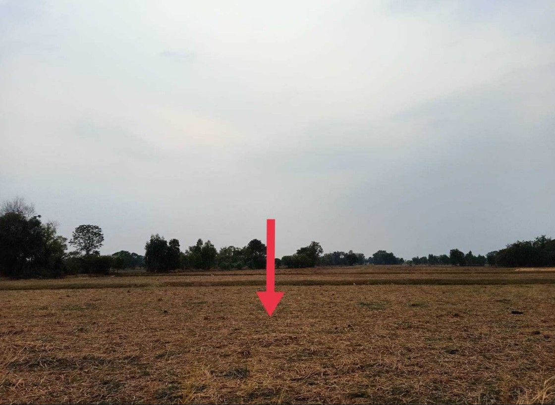 รูปที่ดินว่างเปล่า ตะดอบ เมืองศรีสะเกษ ศรีสะเกษ