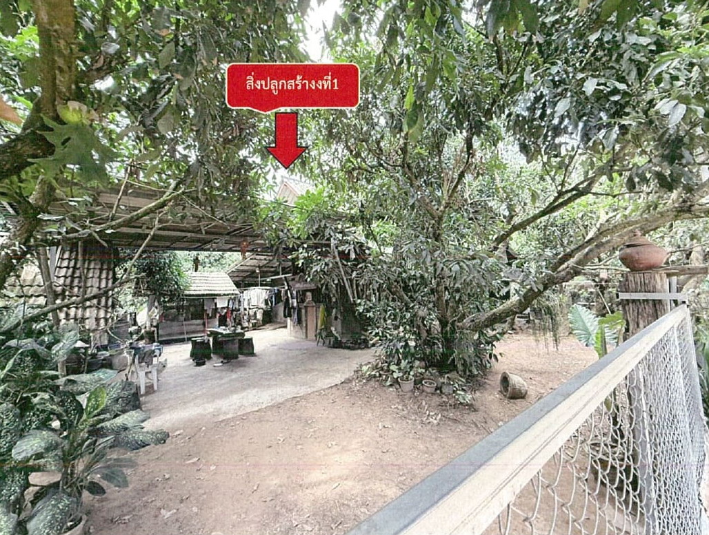 รูปที่ดินพร้อมสิ่งปลูกสร้าง ป่าไหน่ พร้าว เชียงใหม่