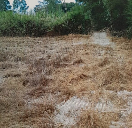 รูปที่ดินว่างเปล่า โนนเปือย กุดชุม ยโสธร