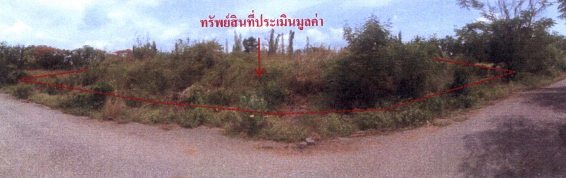 รูปที่ดินว่างเปล่า บึงบา หนองเสือ ปทุมธานี