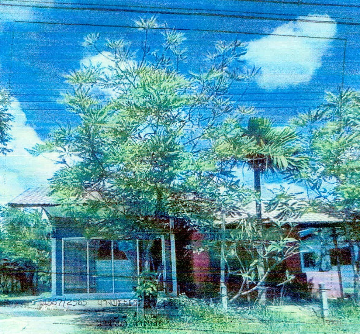 รูปที่ดินพร้อมสิ่งปลูกสร้าง กังแอน ปราสาท สุรินทร์