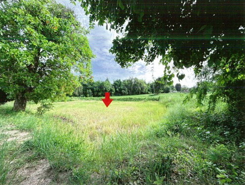 รูปที่ดินว่างเปล่า ห้วยโพธิ์ เมืองกาฬสินธุ์ กาฬสินธุ์