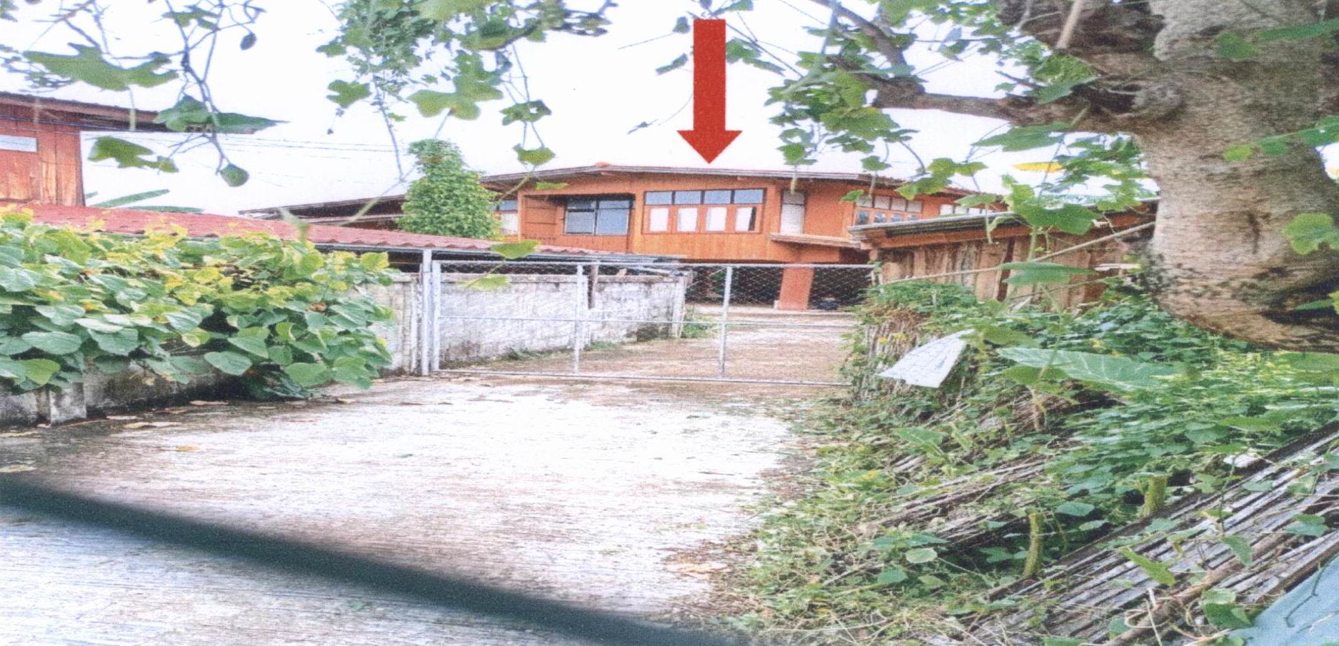 รูปที่ดินพร้อมสิ่งปลูกสร้าง ป่าแดง เมืองแพร่ แพร่