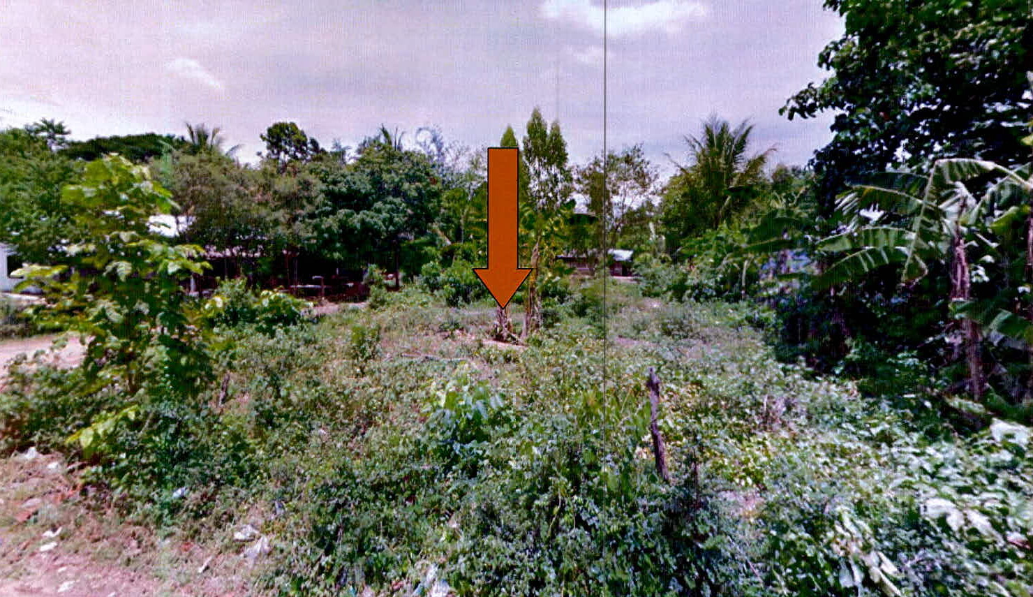 รูปที่ดินว่างเปล่า บุ่งมะแลง สว่างวีระวงศ์ อุบลราชธานี