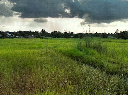 รูปที่ดินว่างเปล่า นามะเขือ สหัสขันธ์ กาฬสินธุ์