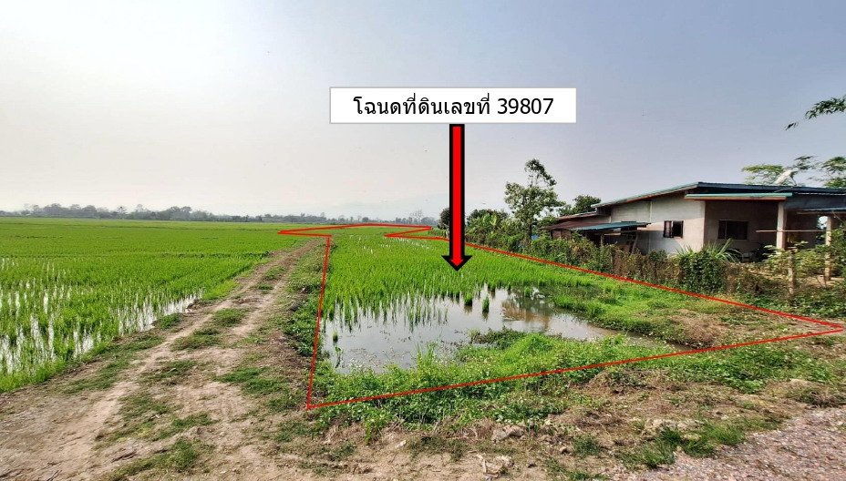 รูปที่ดินว่างเปล่า แม่คำ แม่จัน เชียงราย