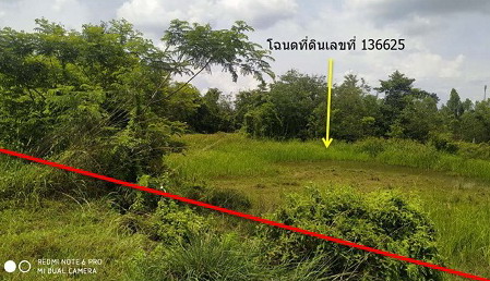 รูปที่ดินว่างเปล่า ดงมะไฟ เมืองสกลนคร สกลนคร