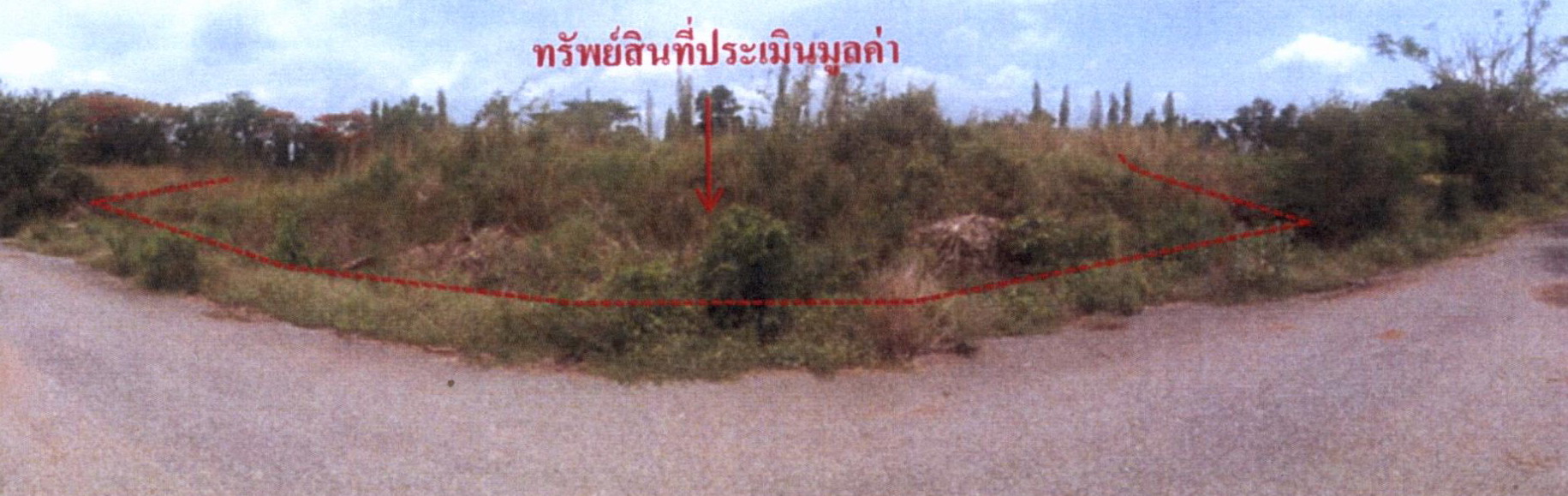 รูปที่ดินว่างเปล่า บึงบา หนองเสือ ปทุมธานี