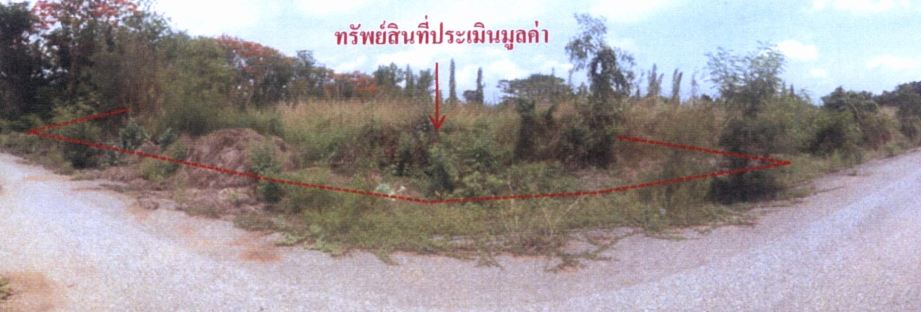 รูปที่ดินว่างเปล่า บึงบา หนองเสือ ปทุมธานี
