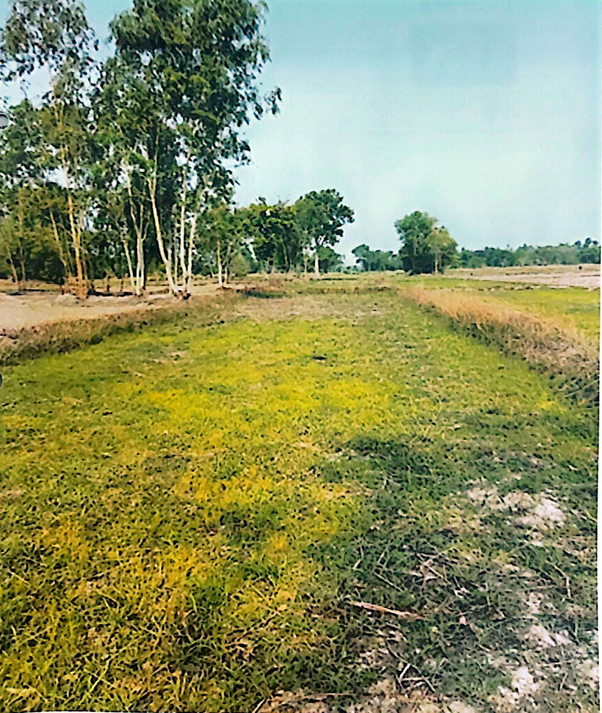 รูปที่ดินว่างเปล่า บ้านผึ้ง เมืองนครพนม นครพนม