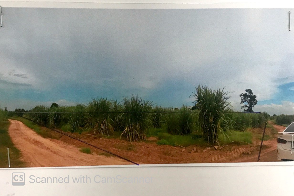 รูปที่ดินว่างเปล่า หนองกุลา บางระกำ พิษณุโลก