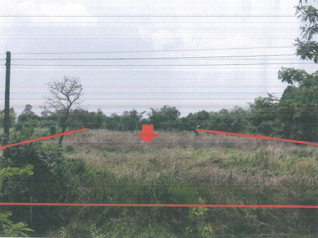 รูปที่ดินว่างเปล่า ลำปาว เมืองกาฬสินธุ์ กาฬสินธุ์