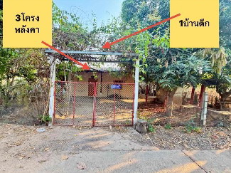 รูปที่ดินพร้อมสิ่งปลูกสร้าง หนองเม็ก นาเชือก มหาสารคาม