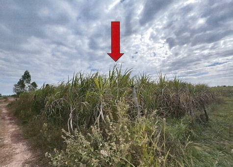 รูปที่ดินว่างเปล่า เสาเล้า หนองกุงศรี กาฬสินธุ์