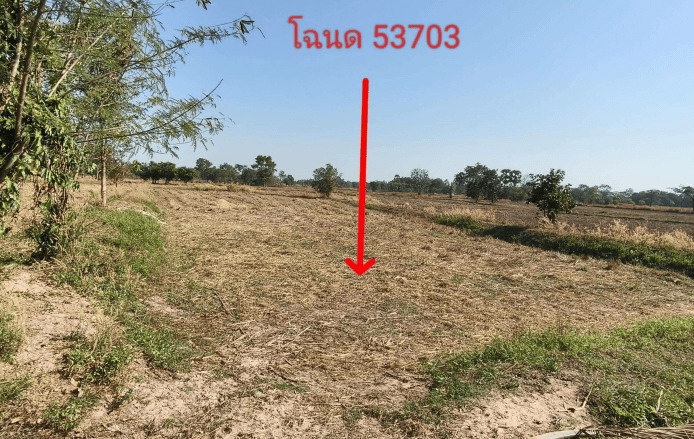 รูปที่ดินว่างเปล่า เตย ม่วงสามสิบ อุบลราชธานี