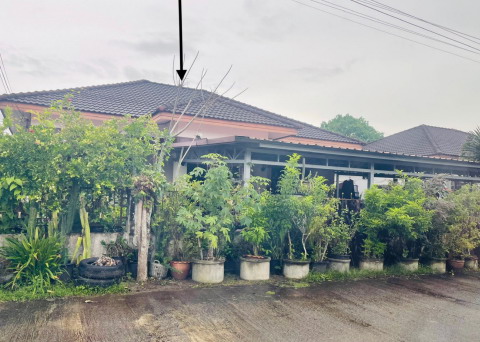 รูปที่ดินพร้อมสิ่งปลูกสร้าง ท่าซัก เมืองนครศรีธรรมราช นครศรีธรรมราช