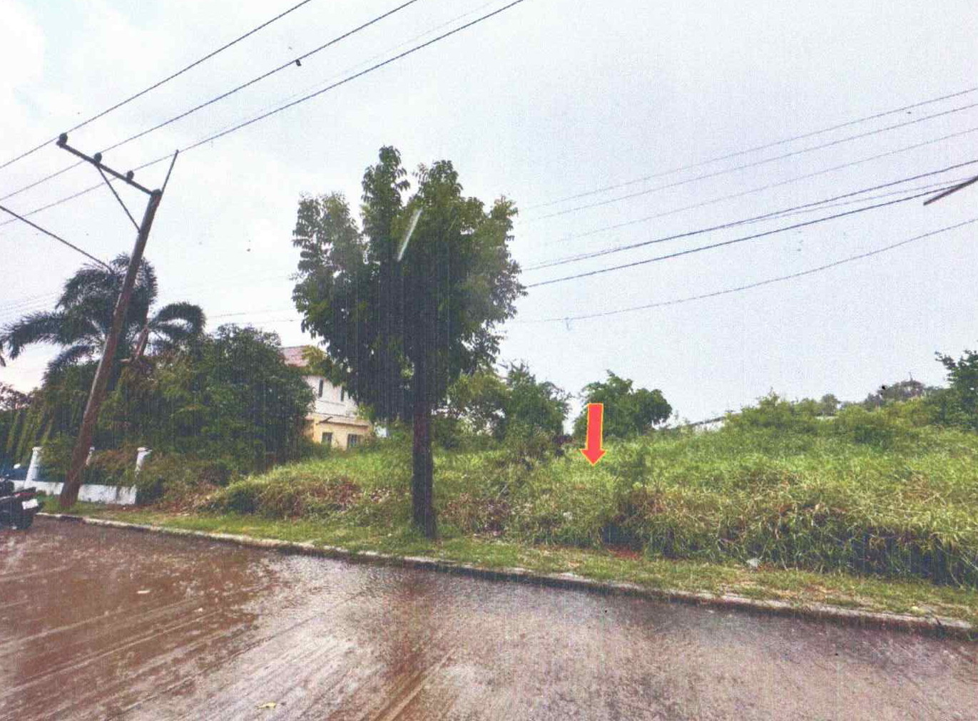 รูปที่ดินว่างเปล่า บางคูวัด เมืองปทุมธานี ปทุมธานี