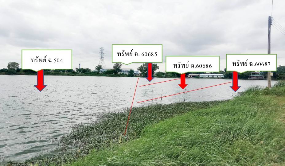 รูปที่ดินว่างเปล่า ดอนข่อย กำแพงแสน นครปฐม