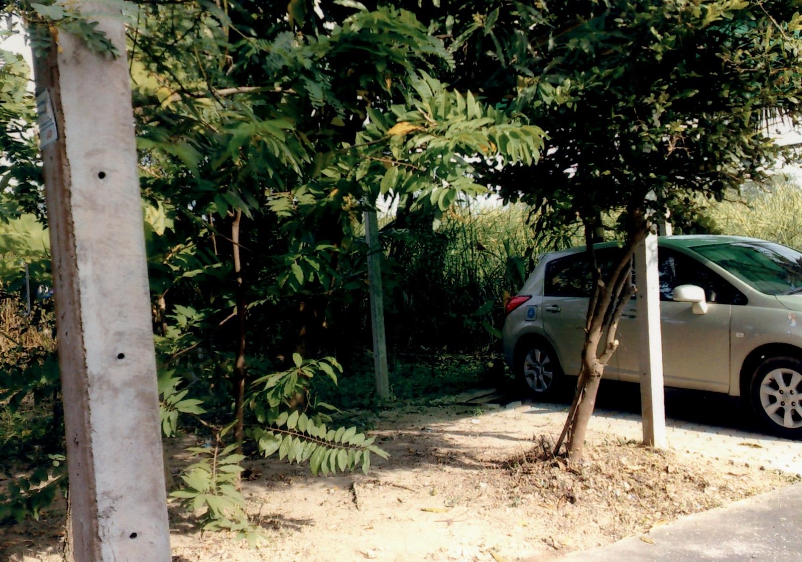 รูปที่ดินว่างเปล่า สวนกล้วย บ้านโป่ง ราชบุรี