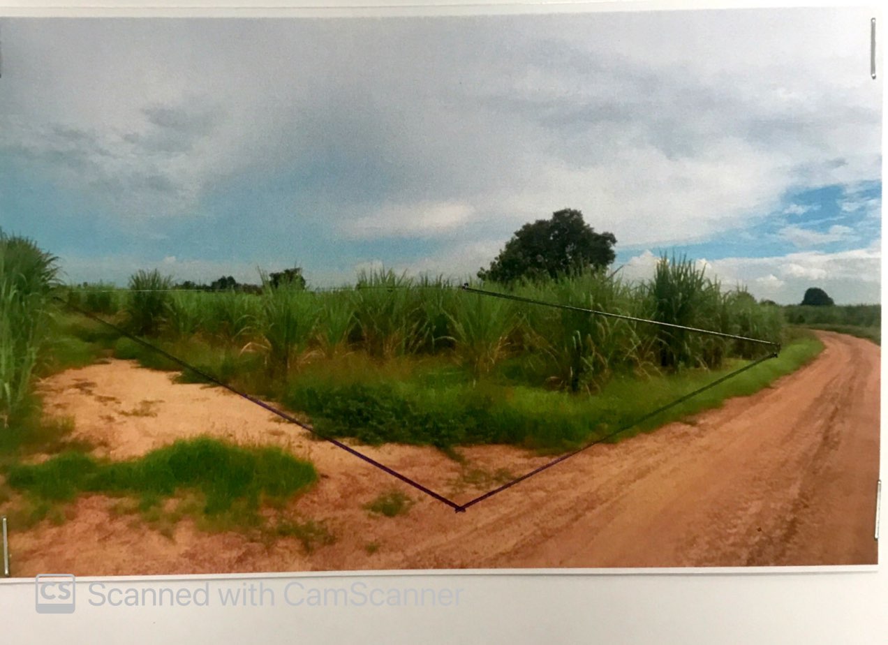 รูปที่ดินว่างเปล่า หนองกุลา บางระกำ พิษณุโลก