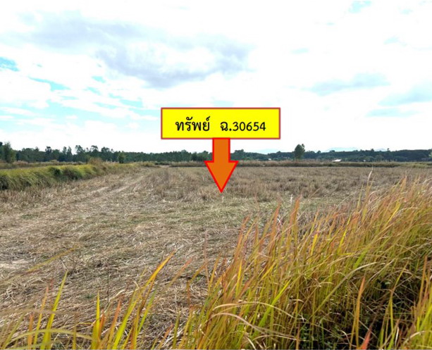 รูปที่ดินว่างเปล่า หนองบ่อ นาแก นครพนม