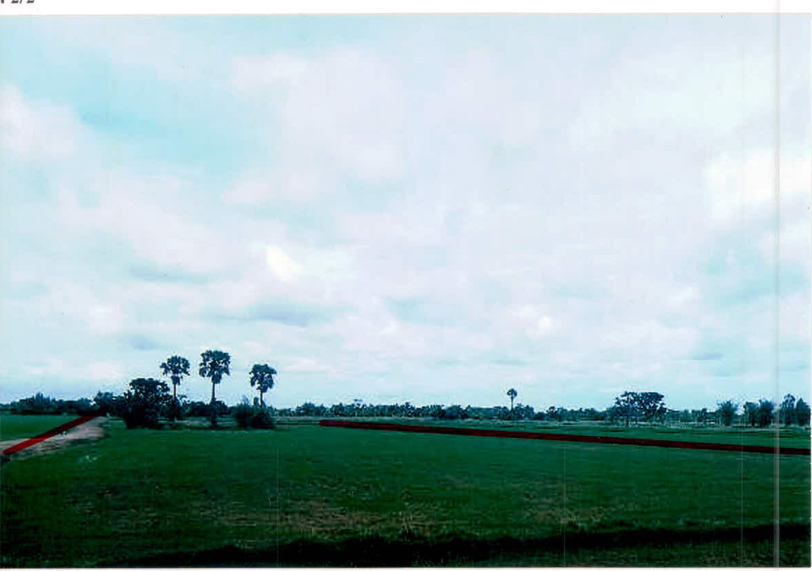 รูปที่ดินว่างเปล่า กุดเมืองฮาม ยางชุมน้อย ศรีสะเกษ