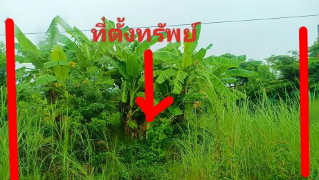 รูปที่ดินว่างเปล่า ทับยายเชียง พรหมพิราม พิษณุโลก