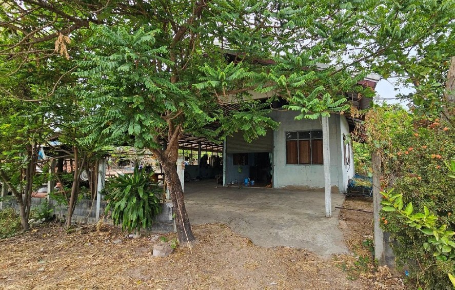 รูปที่ดินพร้อมสิ่งปลูกสร้าง เดิด เมืองยโสธร ยโสธร