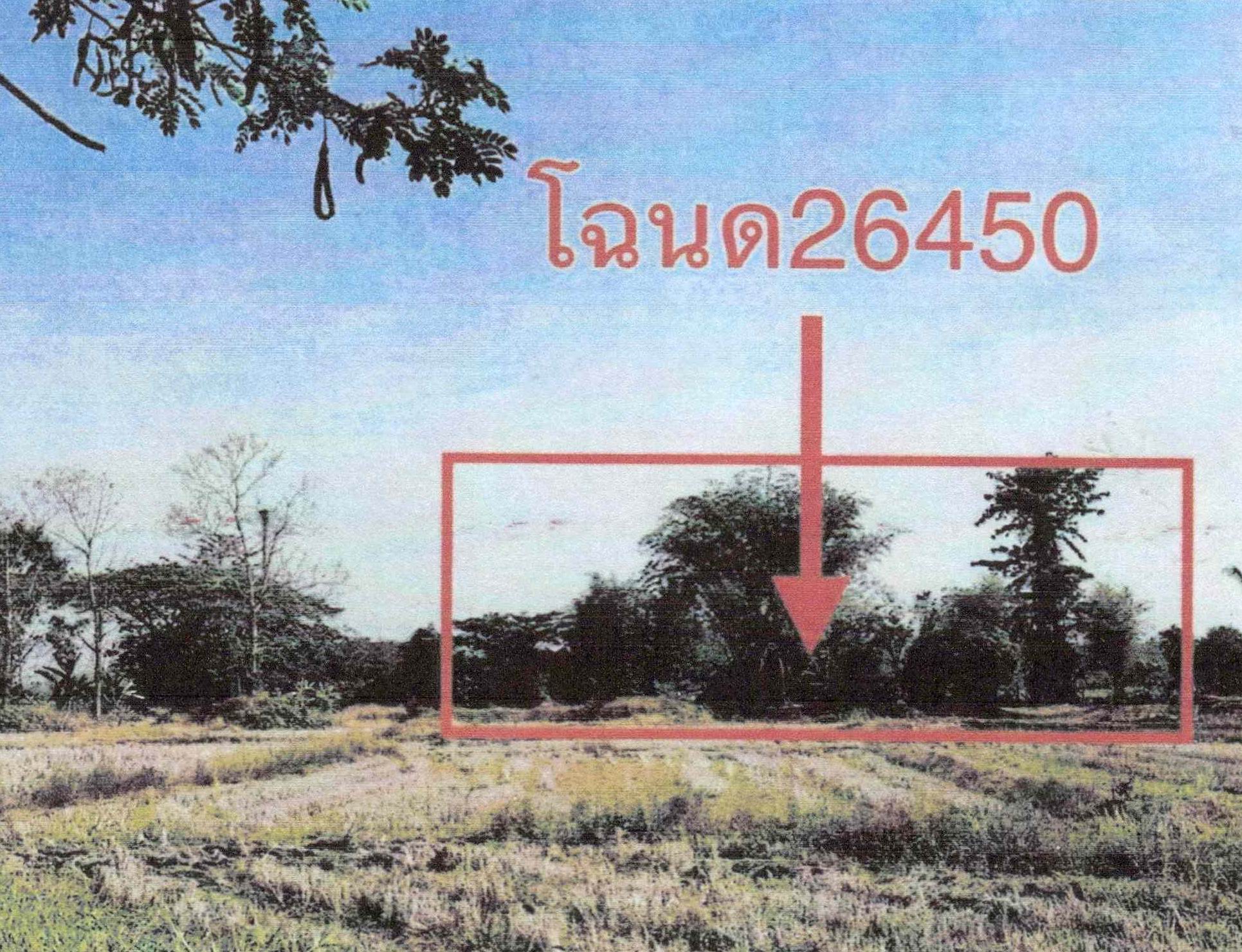 รูปที่ดินว่างเปล่า ธาตุ เชียงคาน เลย