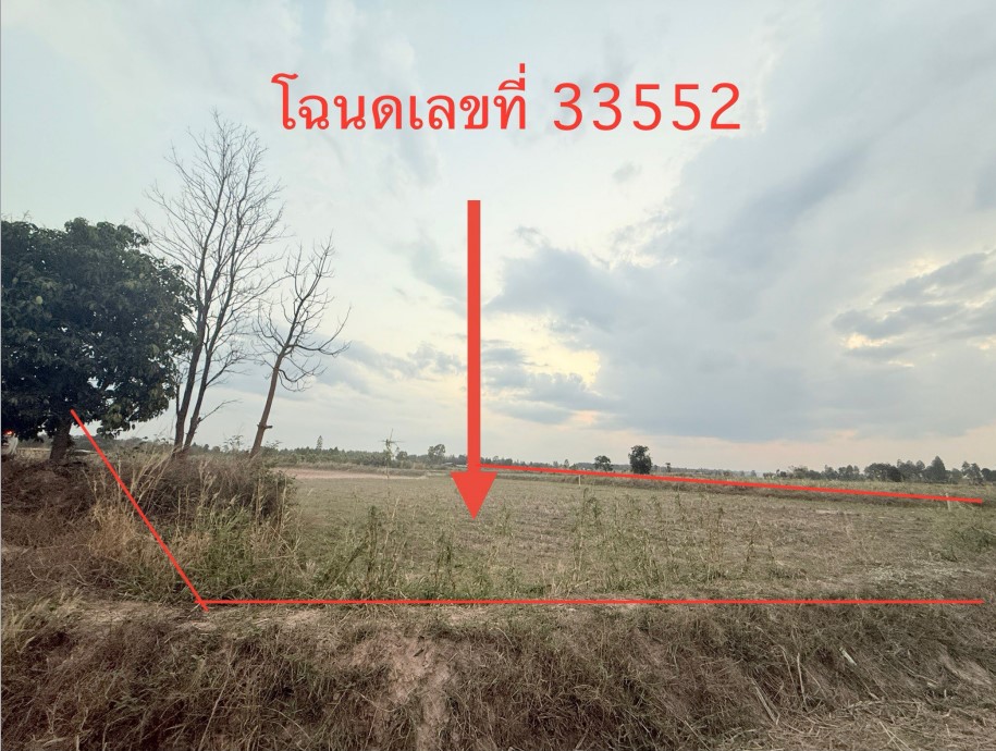 รูปที่ดินว่างเปล่า หนองกุง เมืองกาฬสินธุ์ กาฬสินธุ์