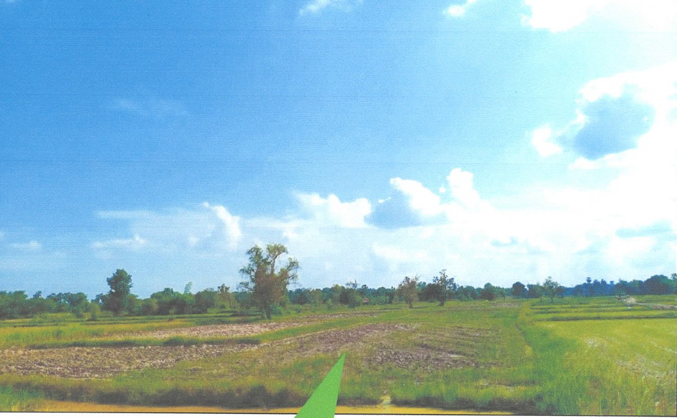 รูปที่ดินว่างเปล่า นาพู่ เพ็ญ อุดรธานี