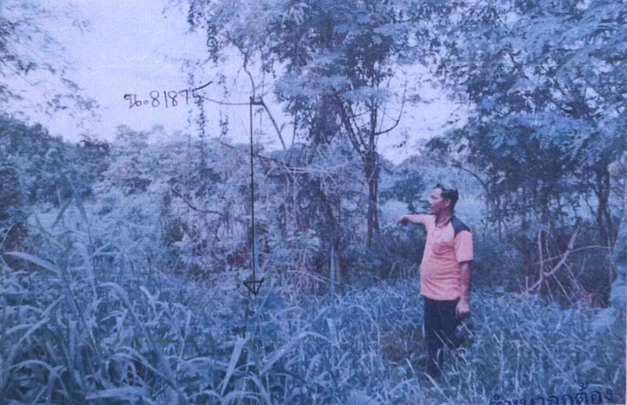 รูปที่ดินว่างเปล่า บึงน้ำรักษ์ ธัญบุรี ปทุมธานี