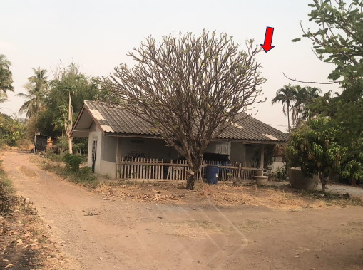 รูปที่ดินว่างเปล่า ตาคลี ตาคลี นครสวรรค์