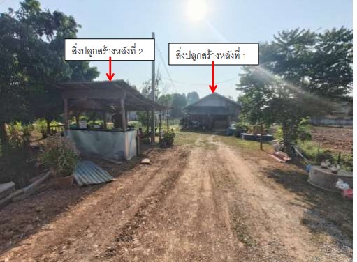 รูปที่ดินพร้อมสิ่งปลูกสร้าง พรหมพิราม พรหมพิราม พิษณุโลก