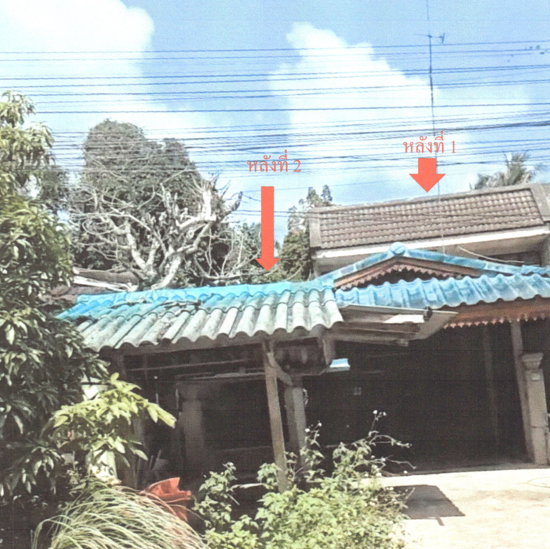 รูปที่ดินพร้อมสิ่งปลูกสร้าง บ้านโหนด สะบ้าย้อย สงขลา