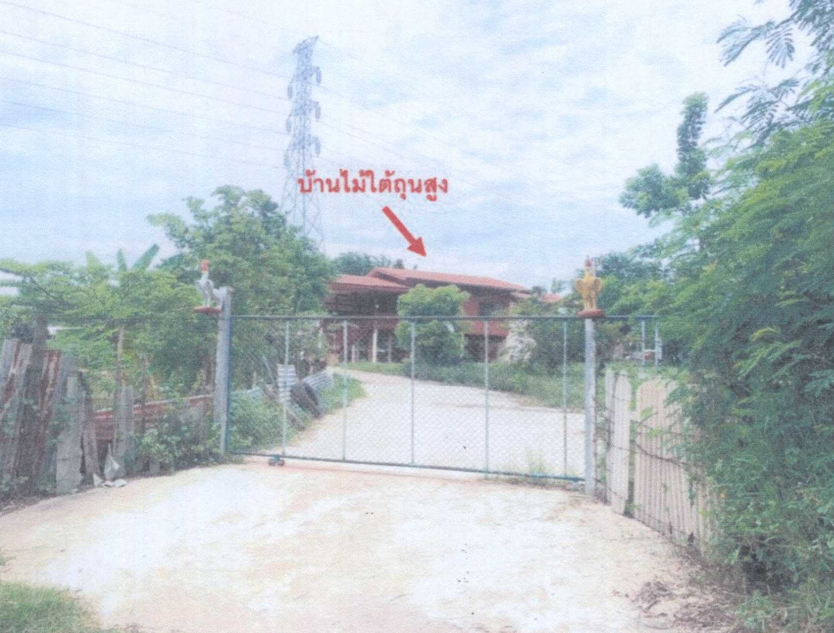 รูปที่ดินว่างเปล่า บิง โนนสูง นครราชสีมา
