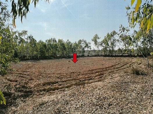 รูปที่ดินว่างเปล่า โพนงาม อากาศอำนวย สกลนคร