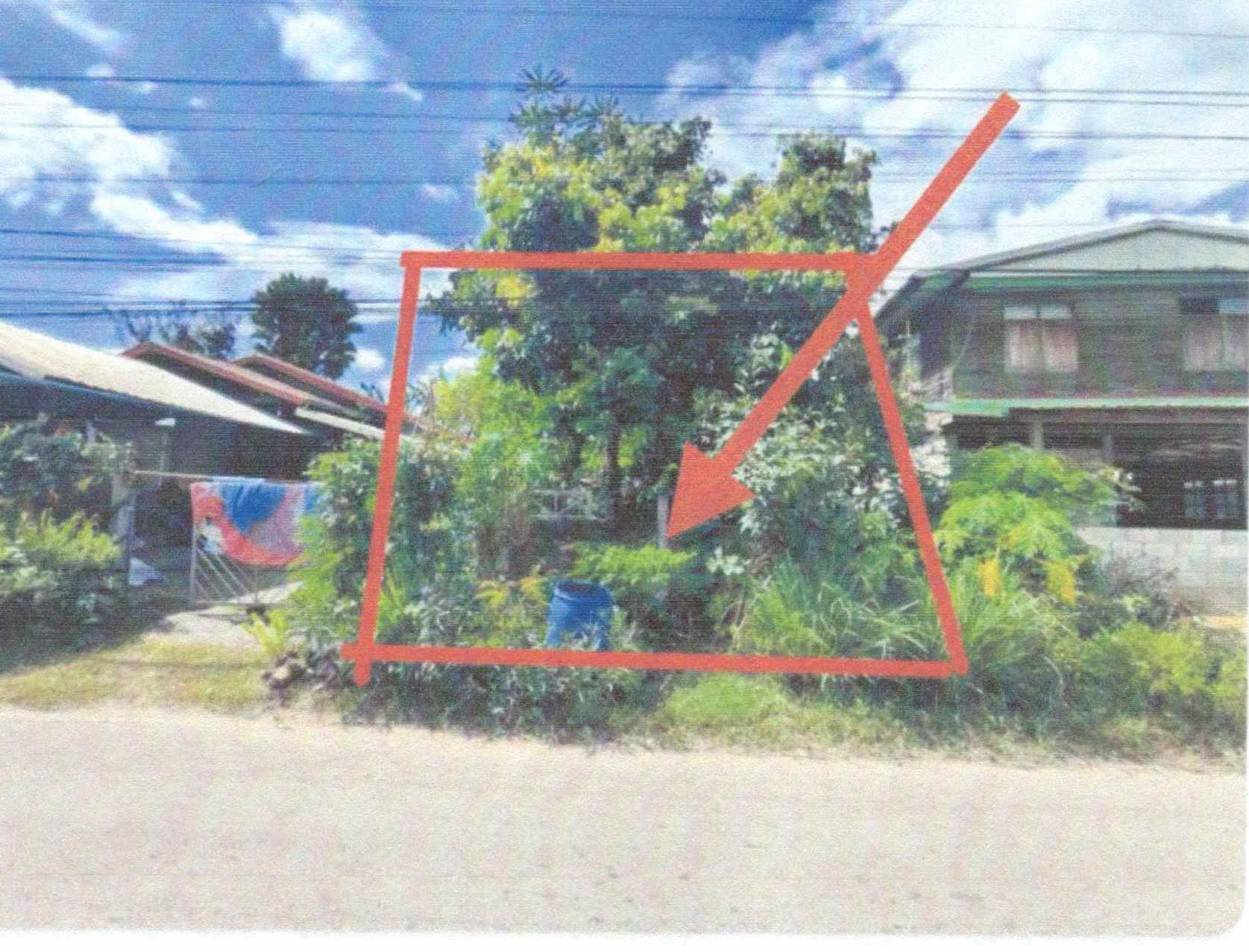 รูปที่ดินว่างเปล่า เขาแก้ว เชียงคาน เลย
