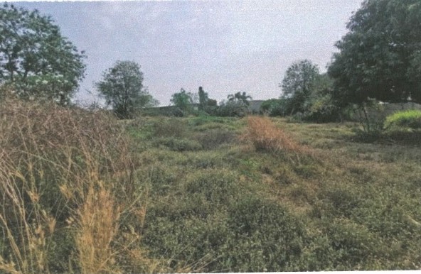 รูปที่ดินว่างเปล่า หินกอง เมืองราชบุรี ราชบุรี