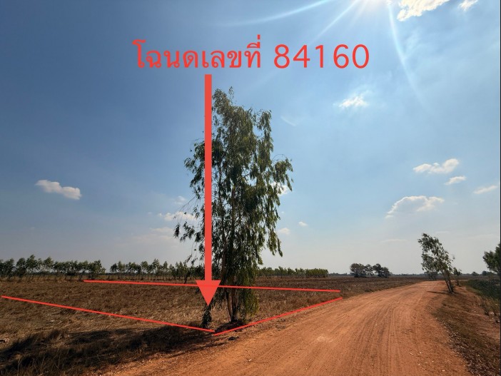 รูปที่ดินว่างเปล่า หินกอง สุวรรณภูมิ ร้อยเอ็ด