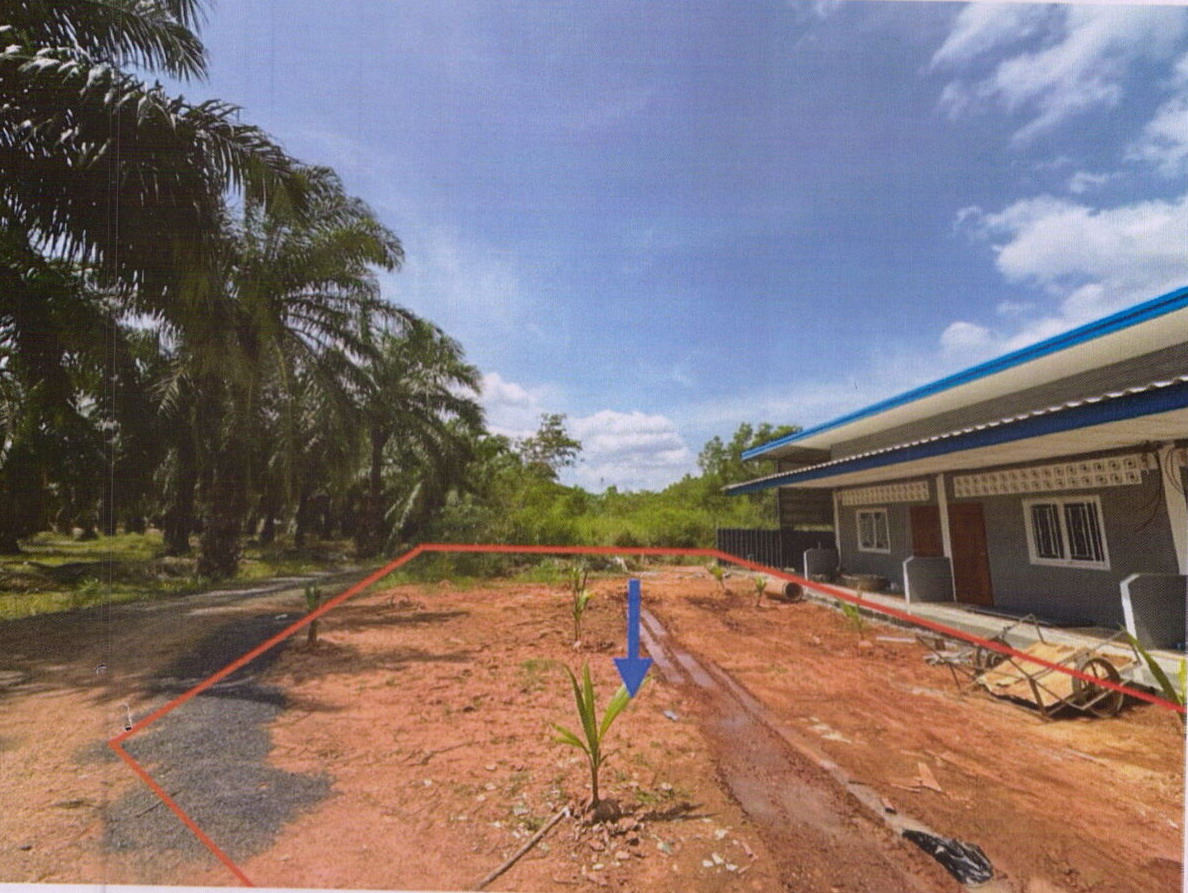 รูปที่ดินว่างเปล่า มะขามเตี้ย เมืองสุราษฎร์ธานี สุราษฎร์ธานี