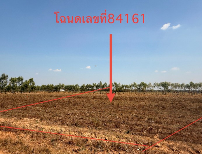 รูปที่ดินว่างเปล่า หินกอง สุวรรณภูมิ ร้อยเอ็ด
