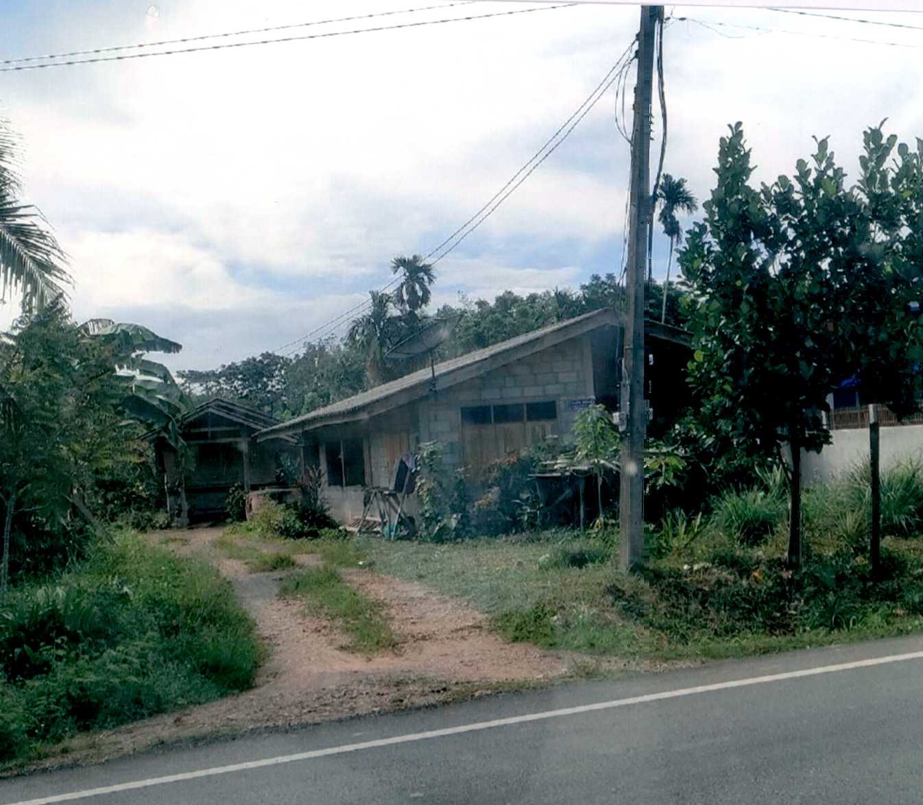 รูปที่ดินพร้อมสิ่งปลูกสร้าง บ้านลำนาว บางขัน นครศรีธรรมราช