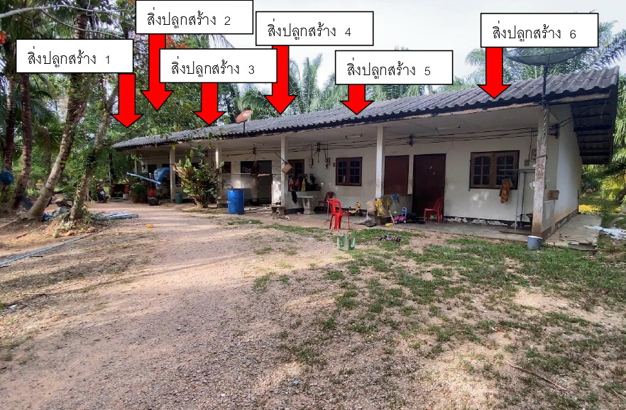รูปที่ดินพร้อมสิ่งปลูกสร้าง ไม้ฝาด สิเกา ตรัง