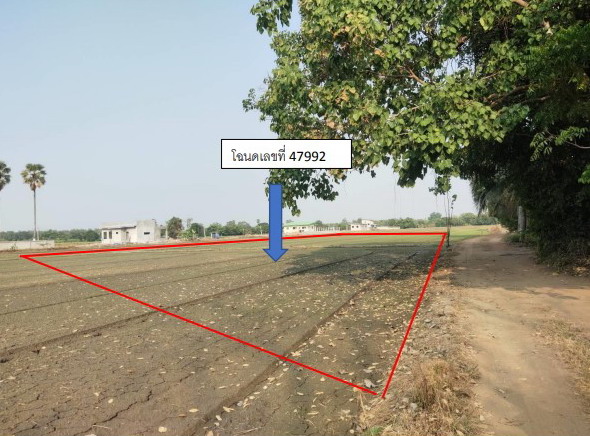 รูปที่ดินว่างเปล่า เทพนคร เมืองกำแพงเพชร กำแพงเพชร