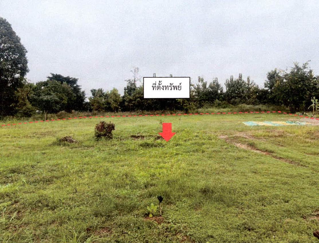 รูปที่ดินว่างเปล่า ตาเมียง พนมดงรัก สุรินทร์