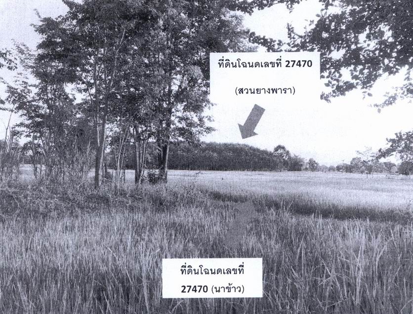 รูปที่ดินว่างเปล่า ตาลโกน สว่างแดนดิน สกลนคร